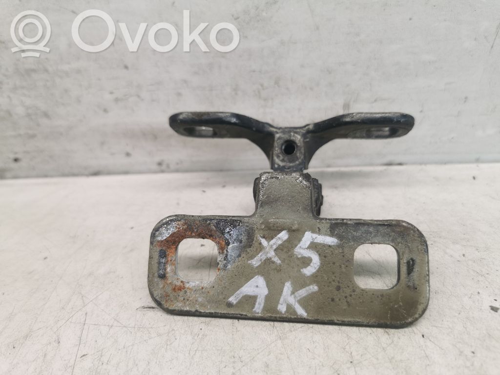BMW X5 E53 Tailgate/trunk/boot hinge 