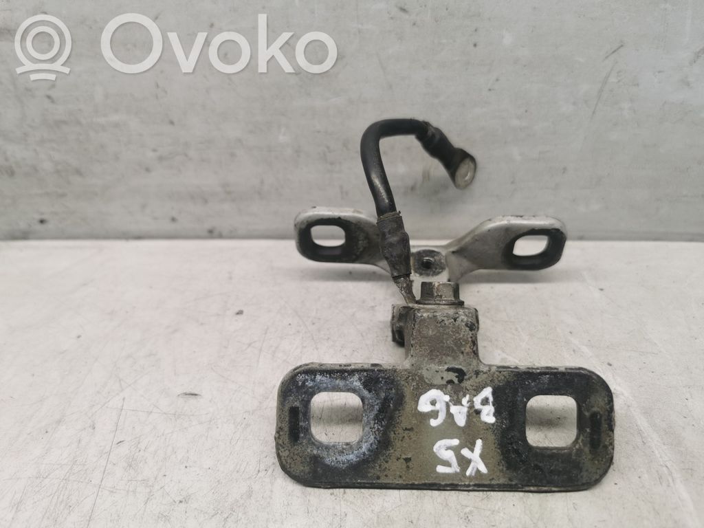 BMW X5 E53 Tailgate/trunk/boot hinge 