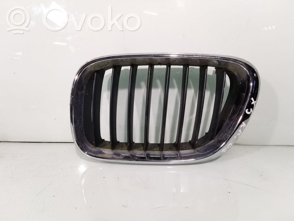 BMW X5 E53 Front grill 
