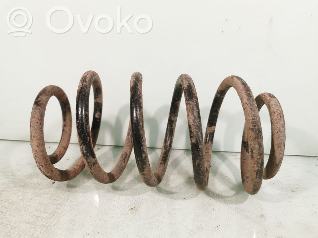 Rear coil spring