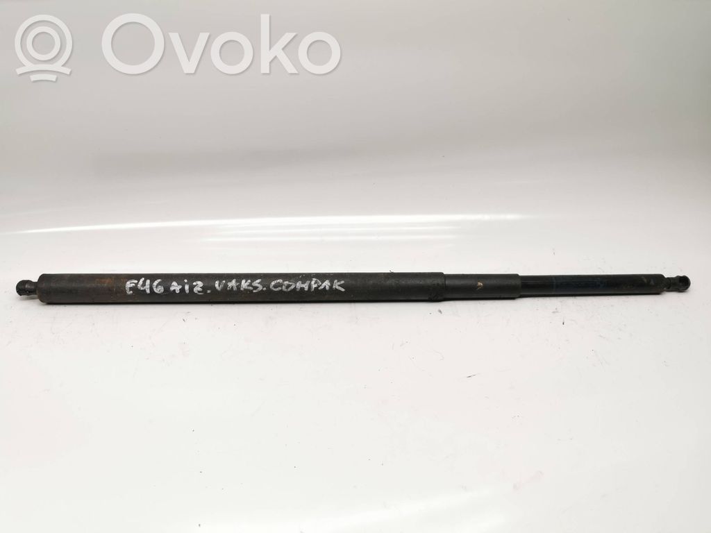Tailgate/trunk strut/damper