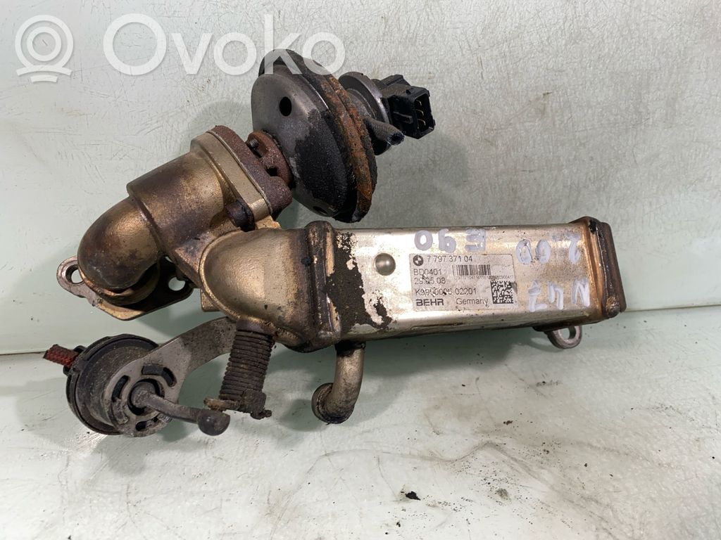 BMW 3 E90 E91 EGR aušintuvas 