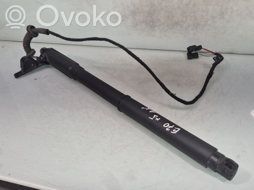 Tailgate/trunk strut/damper   818347,4887651