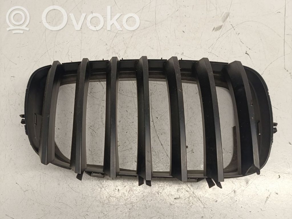 BMW X5 E70 Front bumper upper radiator grill 