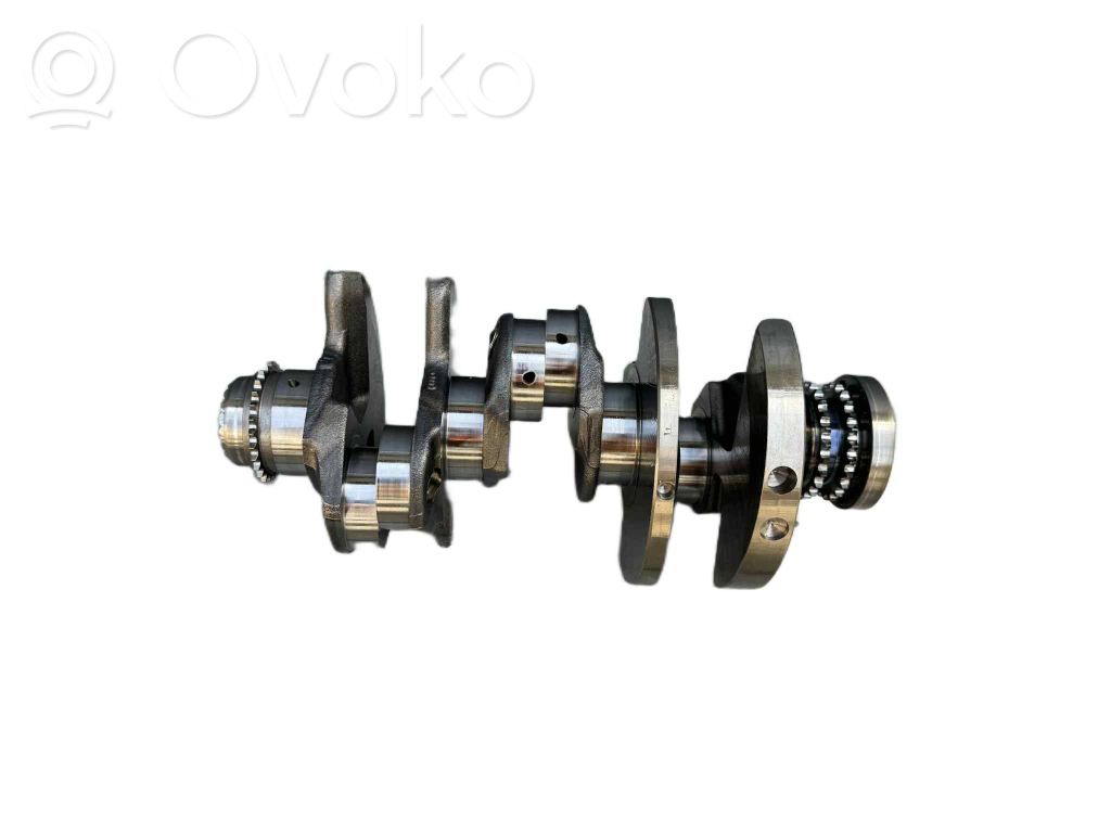 Crankshaft   059019BD