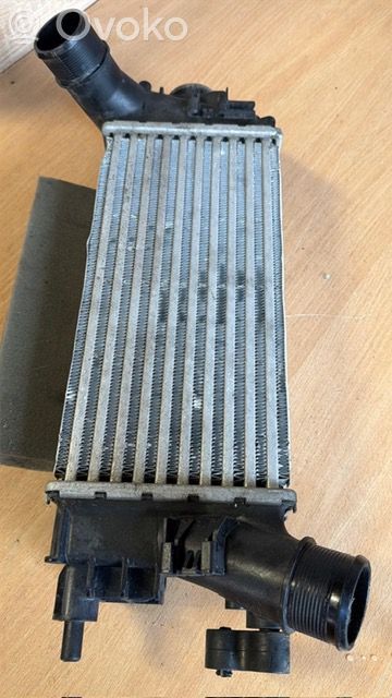 Ladeluftkühler   L1BG6D624AB,L1BG6D624AB