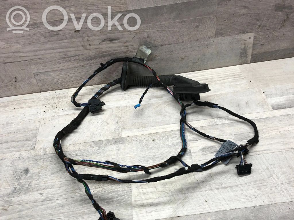 Cableado de puerta delantera   6928640,20B344801,97520B3448