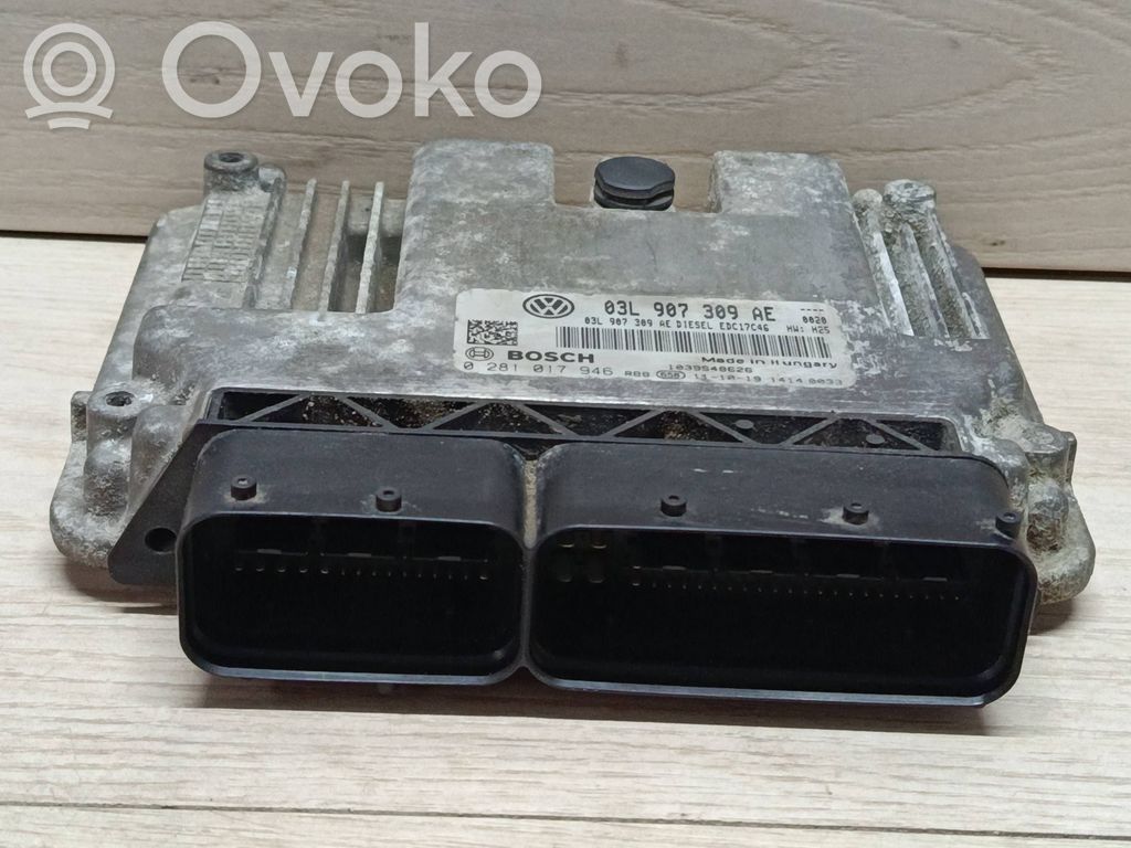 Engine control unit/module   03L907309AE,0281017946
