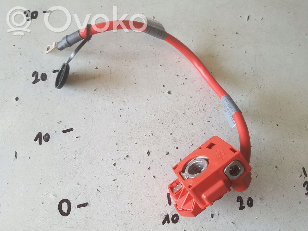 Plusa vads (akumulatora)   6988974