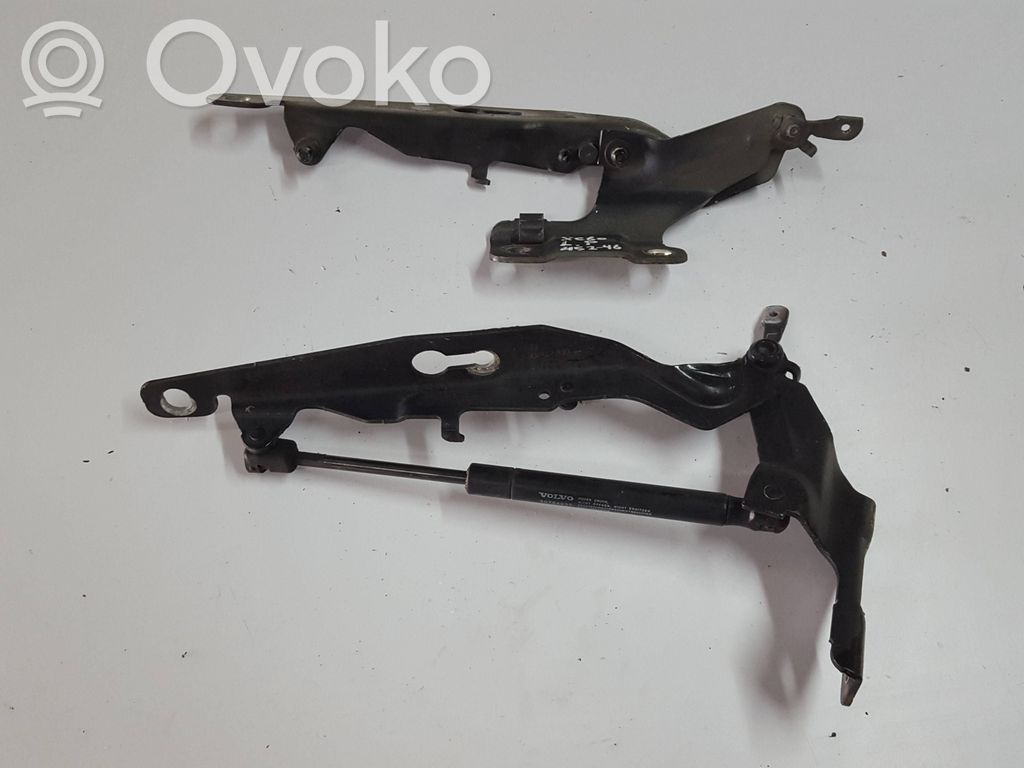 Engine bonnet/hood hinges
