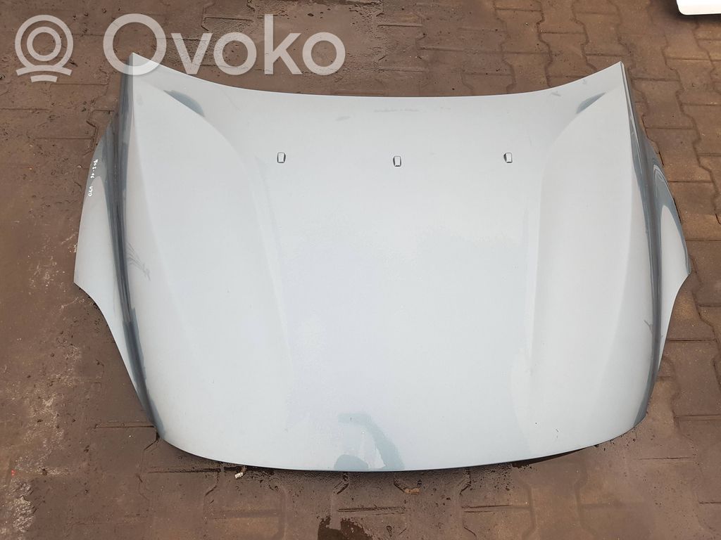Engine bonnet/hood