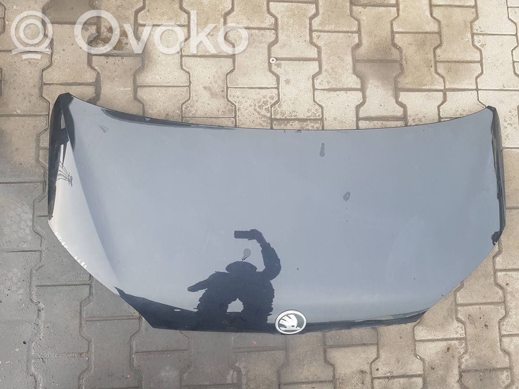 Dzinēja pārsegs (vāks)