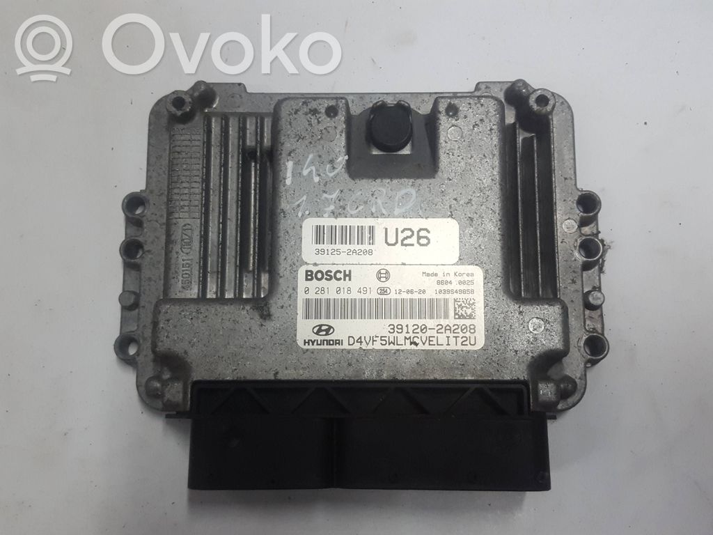 Engine control unit/module   391202A208XAUTOPX,391202A208,391252A208,0281018491
