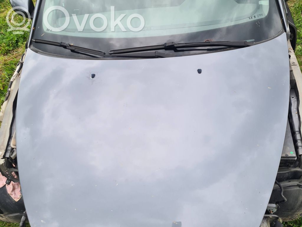 Engine bonnet/hood