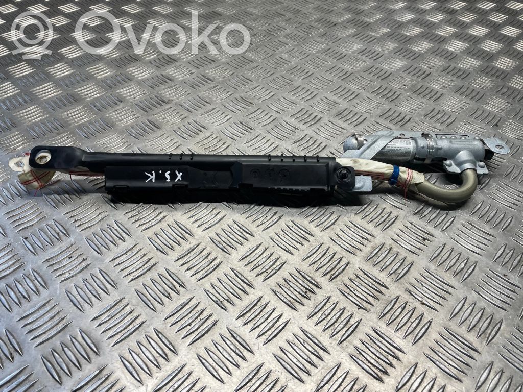 BMW X5 E53 Airbag del techo 