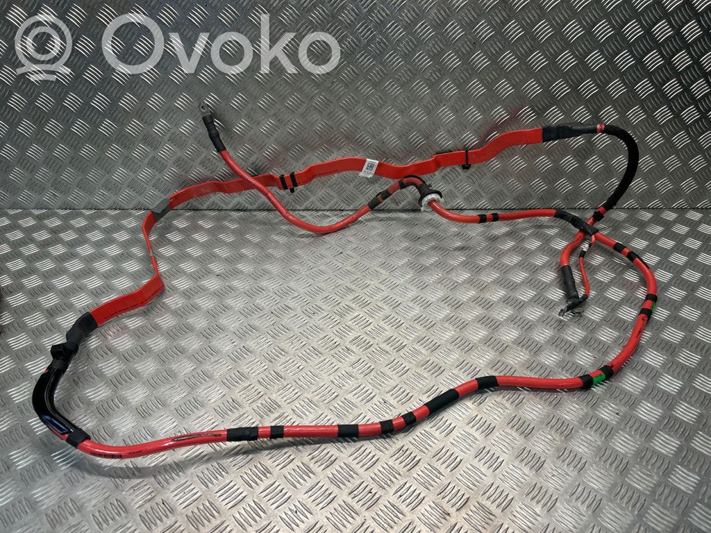 Pluskaapeli (akku)   8W1971225K