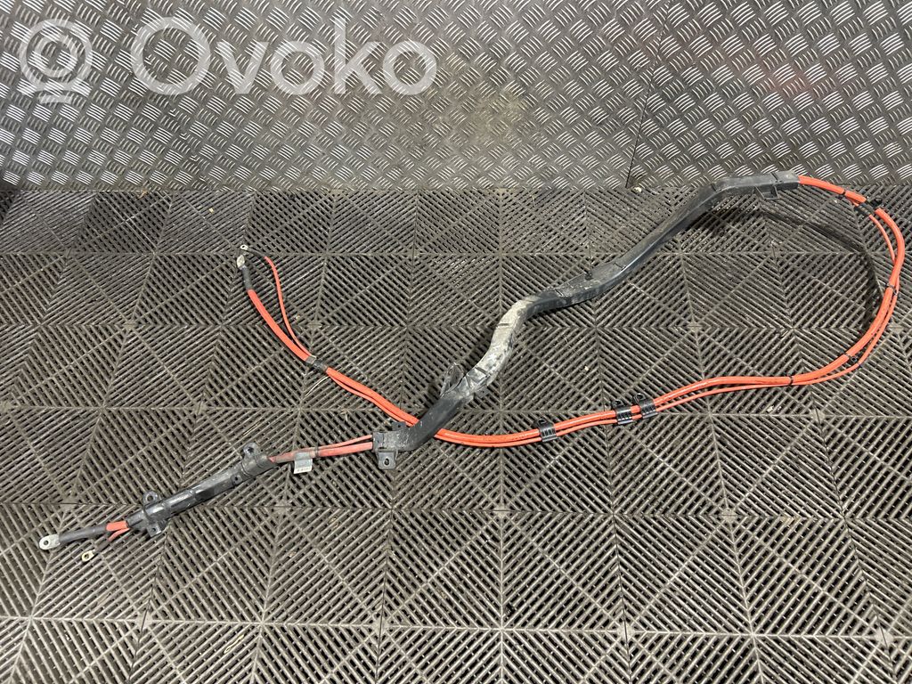 Plusa vads (akumulatora)   9207514,9207515