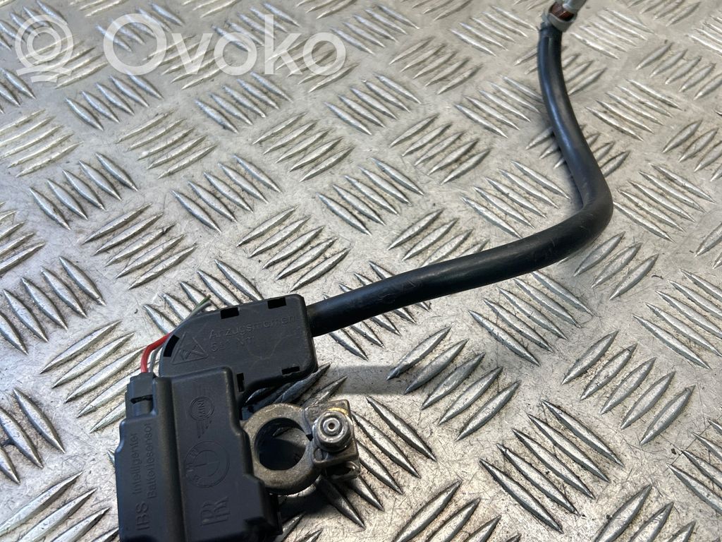 BMW X5 E70 Maakaapeli, akku 