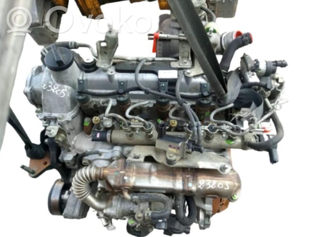 Motor   D1ND