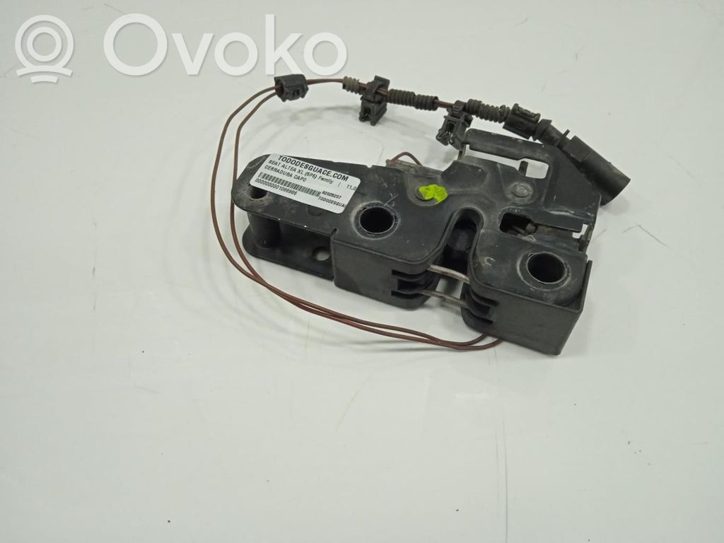 Tie down hook / loop   SINREFVISIBLE