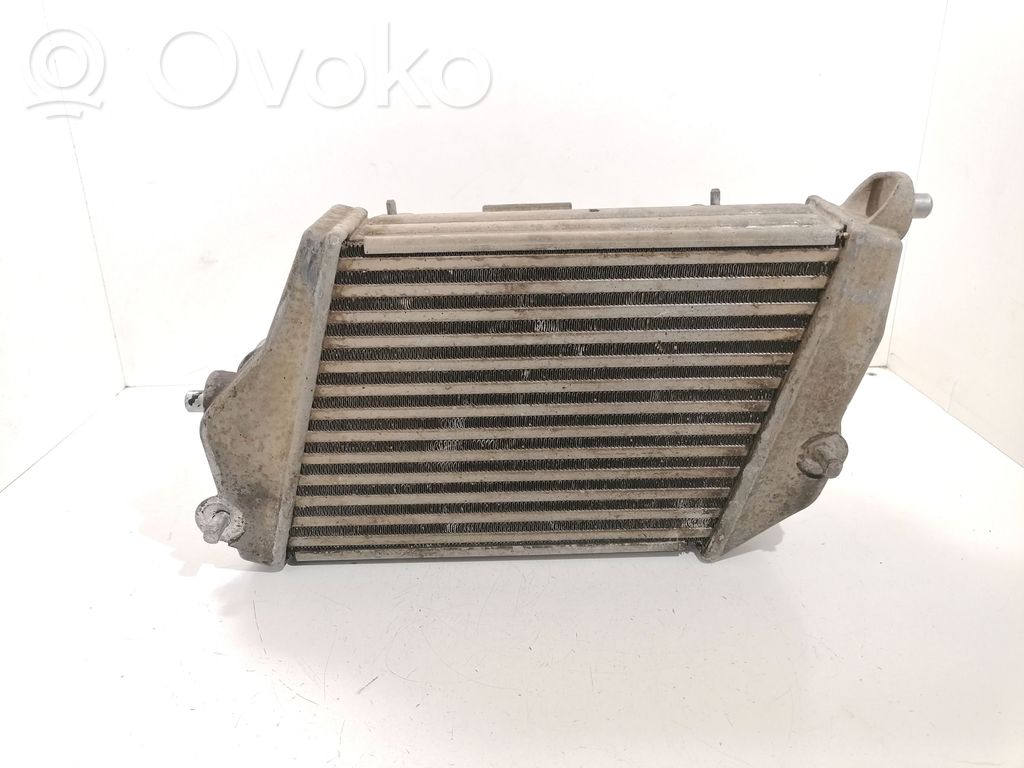 Audi A8 S8 D3 4E Interkūlerio radiatorius 
