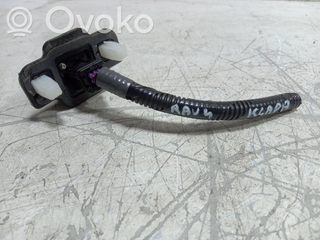 Toyota RAV 4 (XA50) Other control units/modules 