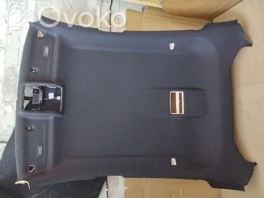 BMW X6 E71 Headlining 