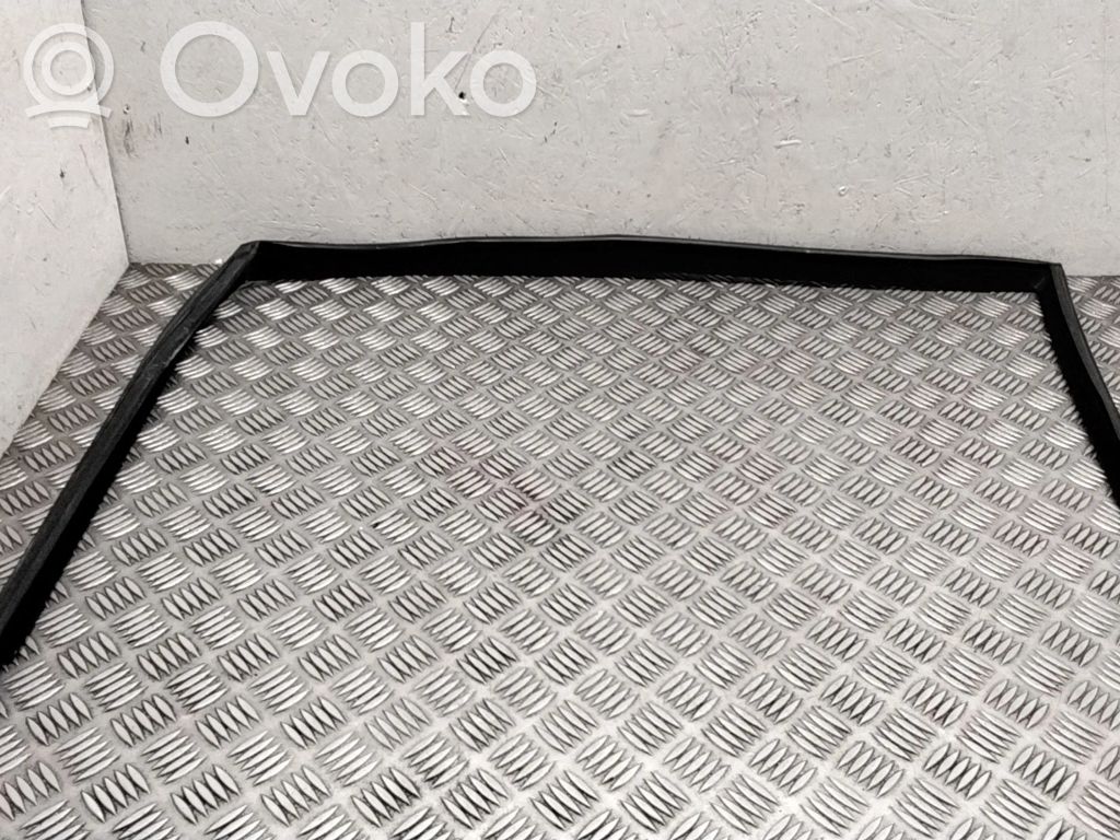 BMW X5 E70 Guarnizione in gomma finestrino/vetro portiera anteriore 