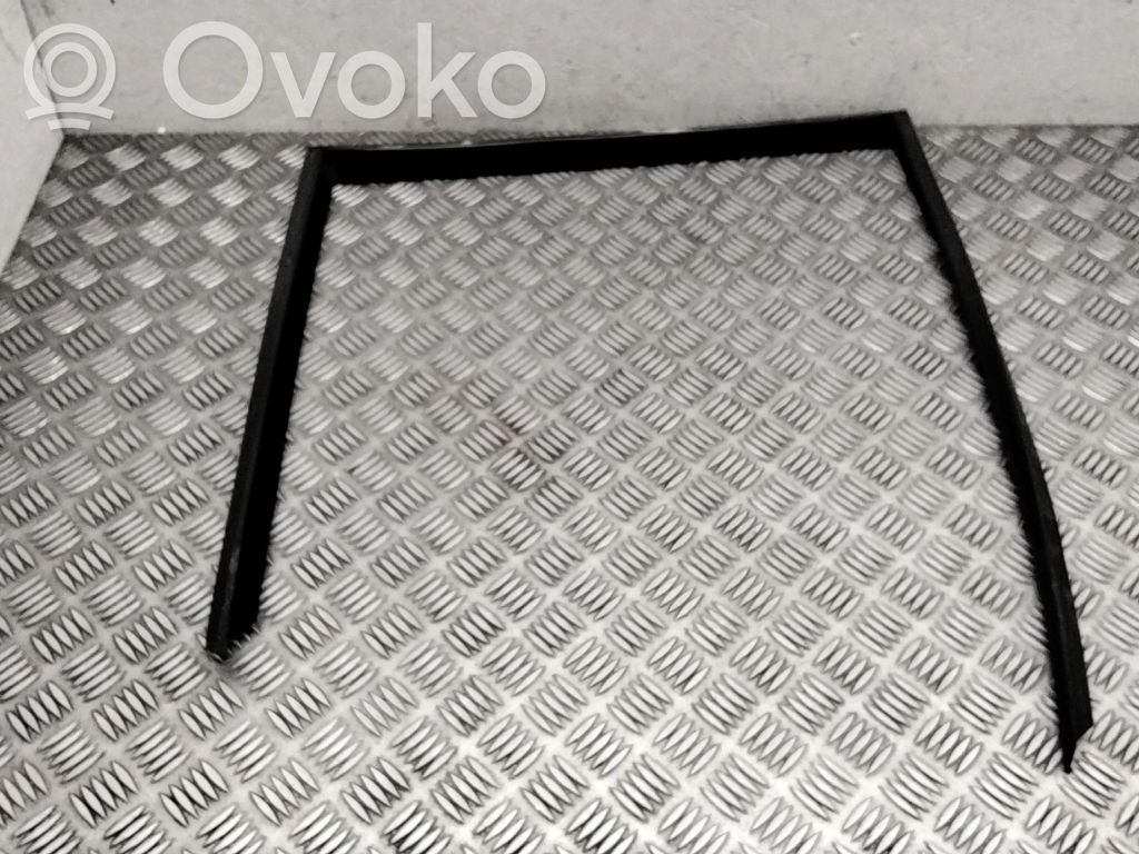 BMW X5 E70 Guarnizione in gomma finestrino/vetro portiera posteriore 