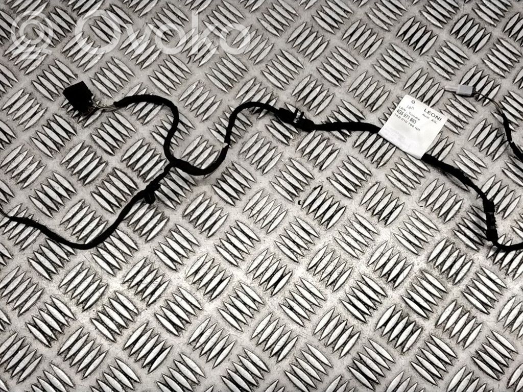 Audi A6 C7 Cableado de puerta trasera 