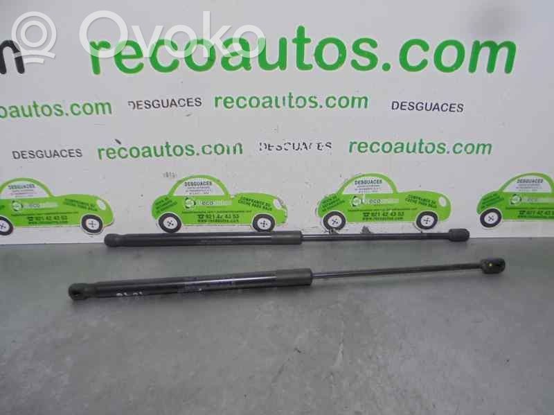 Ford Ka Tailgate/trunk strut/damper 