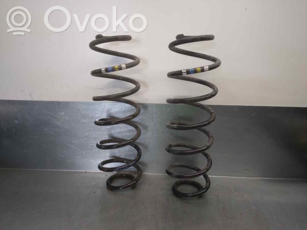 Front coil spring