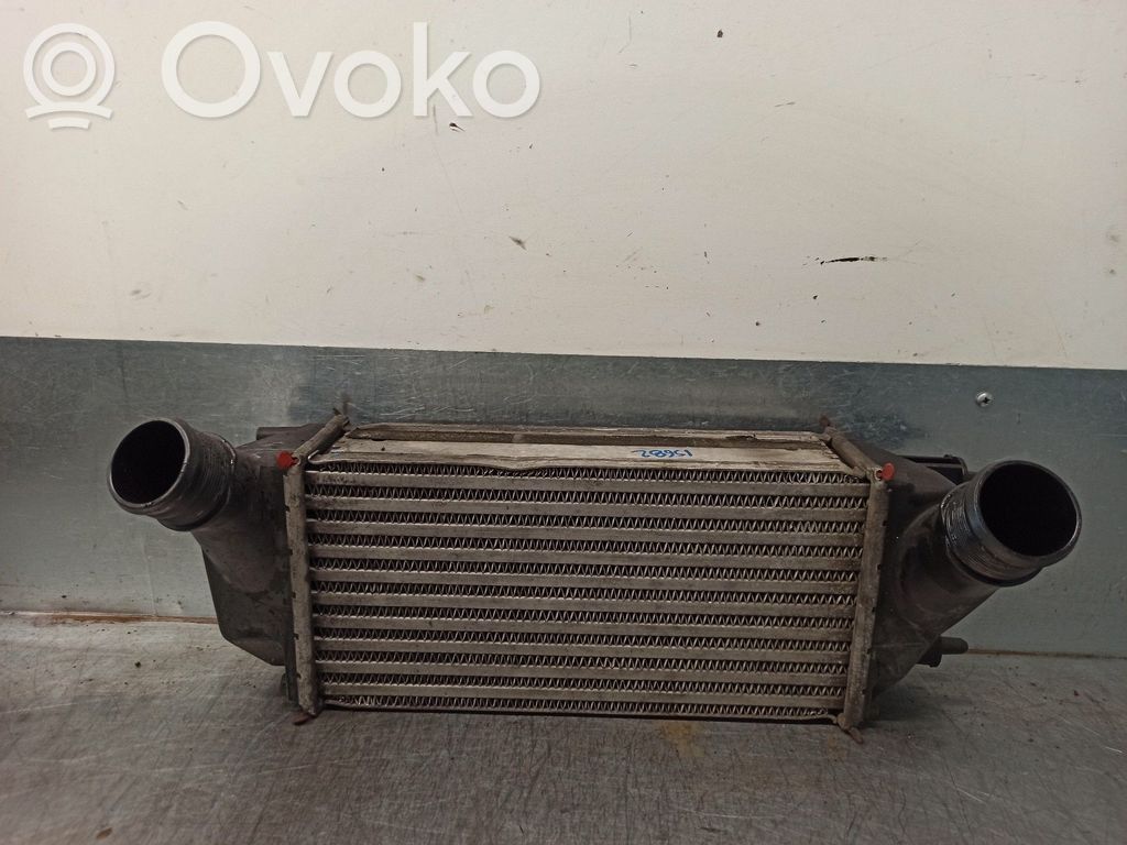 Ford Tourneo Interkūlerio radiatorius 
