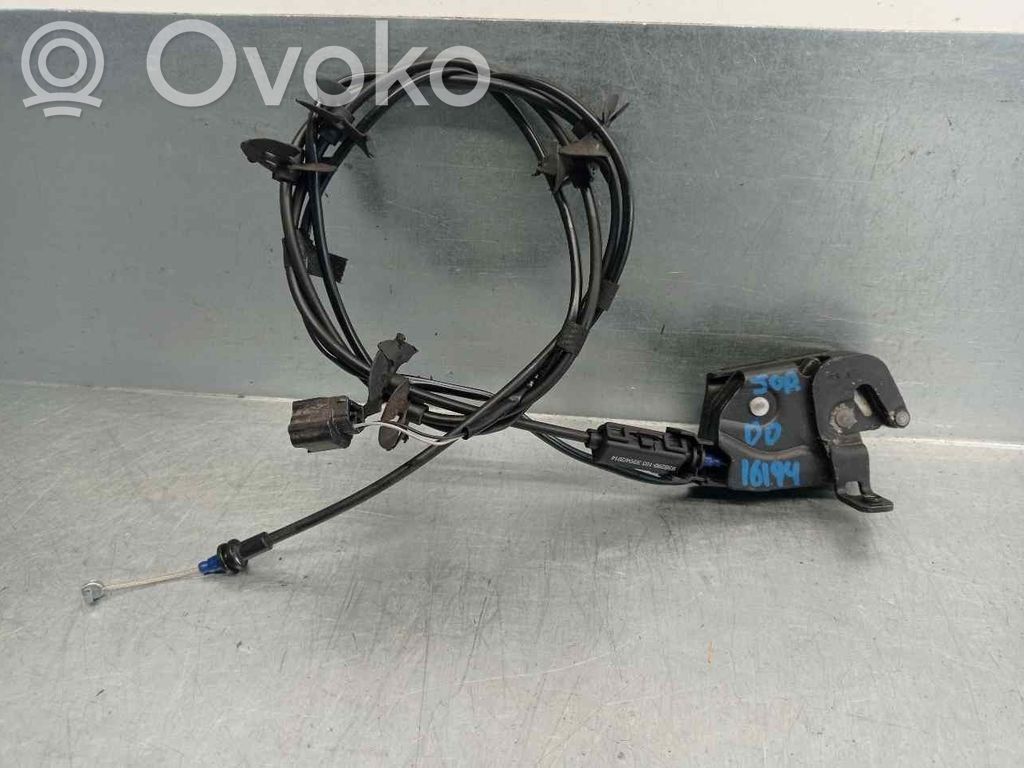 Ford B-MAX Tie down hook / loop 