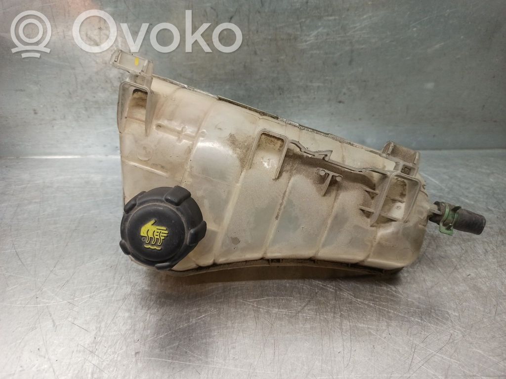 Renault Kangoo II Kuro išsiplėtimo bakelis 