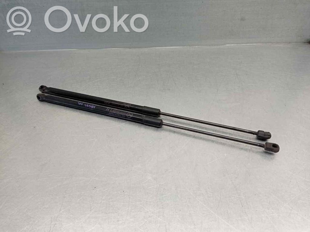 KIA Xceed Tailgate/trunk strut/damper 