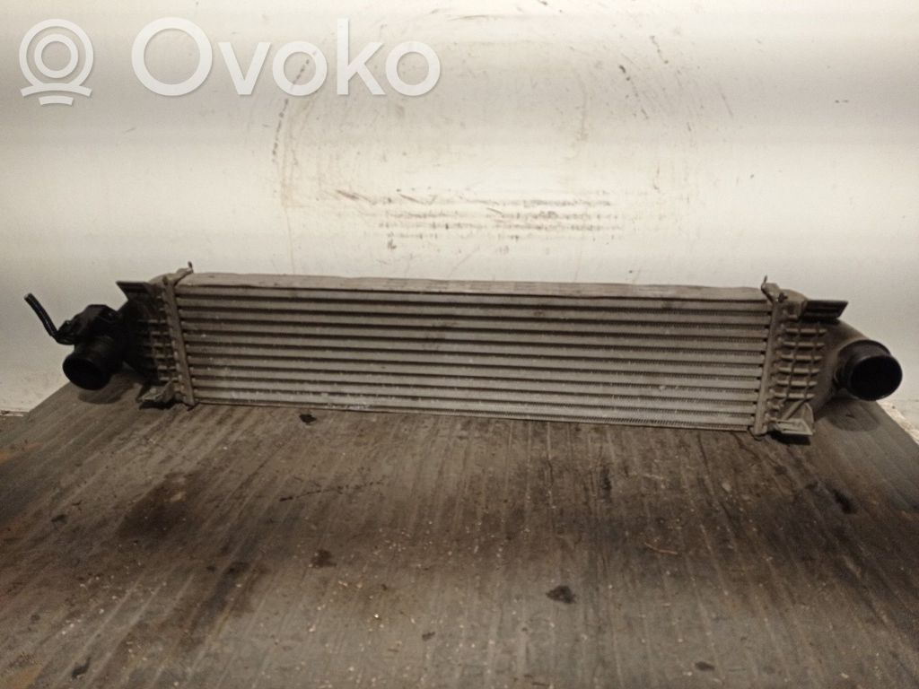 Intercooler radiator   BV619L440BD,72432002,FOMOCO