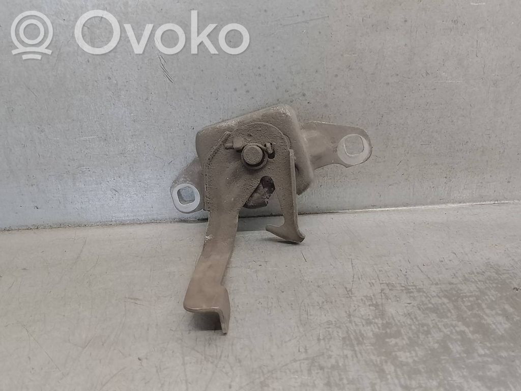 Tie down hook / loop   656013195R