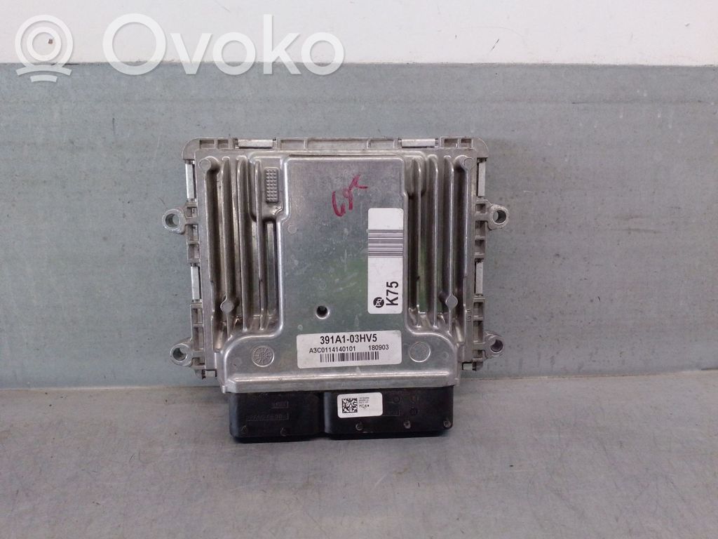 Hyundai Ioniq Engine control unit/module 