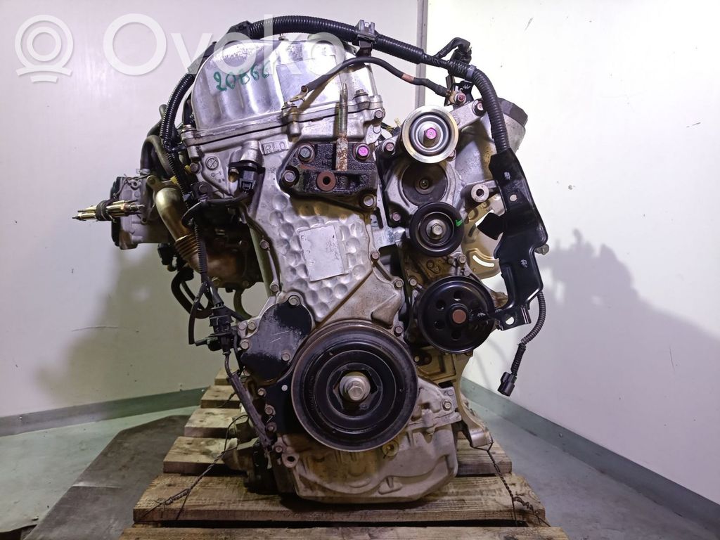 Motor   N22B1,10002RL0G00,1005597