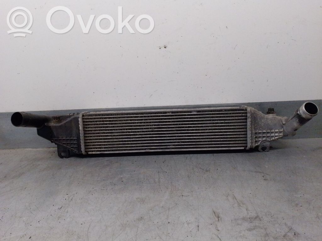 Chłodnica powietrza doładowującego / Intercooler   Y60113550C