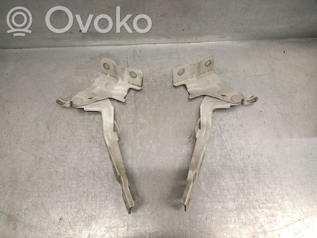 KIA Sorento Dzinēja pārsega eņģe (-es) 