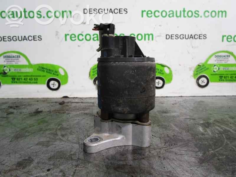 Daewoo Lanos Válvula EGR 