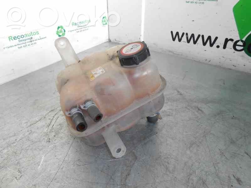 Ford Transit Vaso di espansione carburante