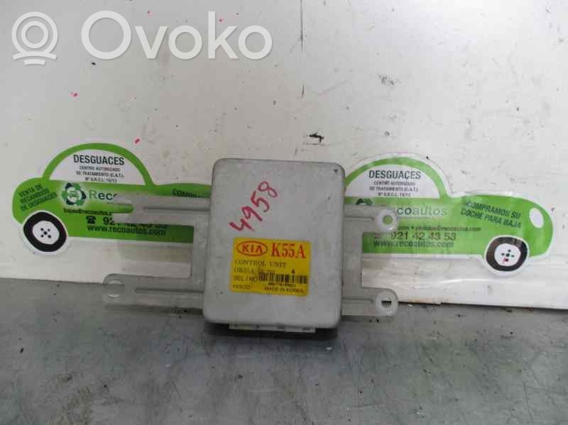 KIA Carnival Engine control unit/module 