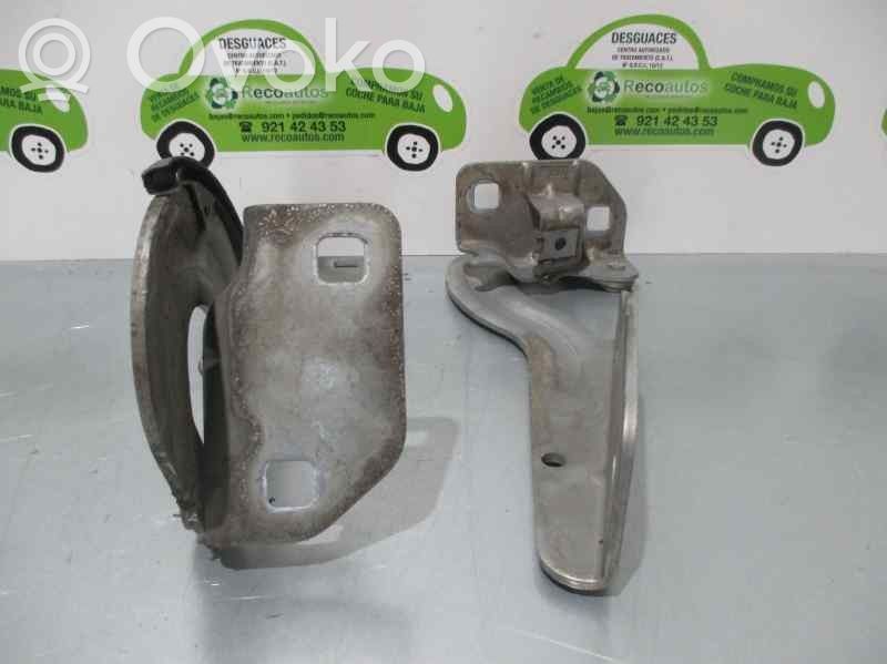 Zawiasy pokrywy / maski silnika   843529K843530K,843529K843530K