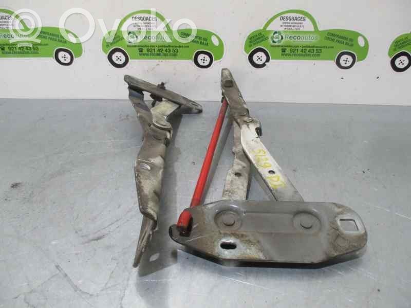 Bisagras del capó/tapa del motor