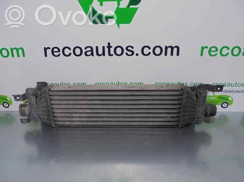 Ford Fiesta Intercooler radiator 