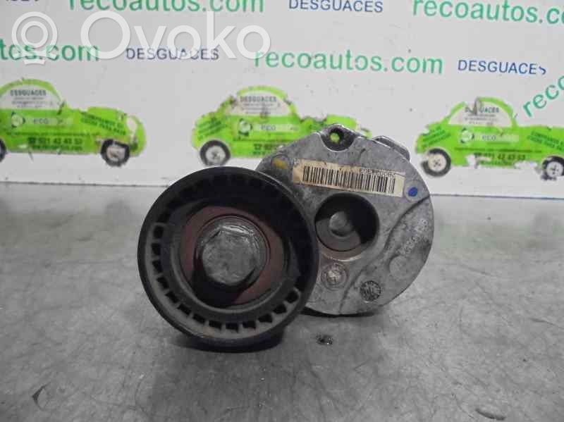Tensor de correa del alternador   780033303