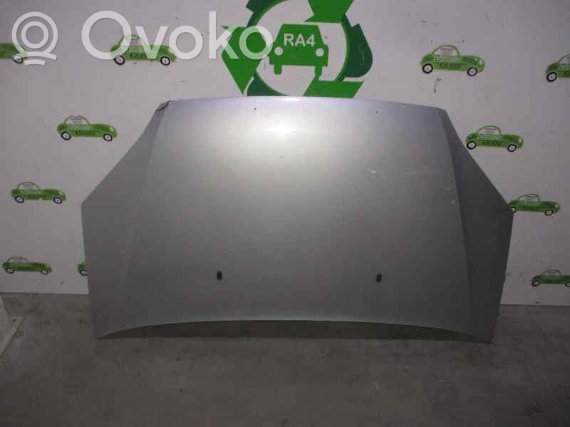 Engine bonnet/hood   GRIS
